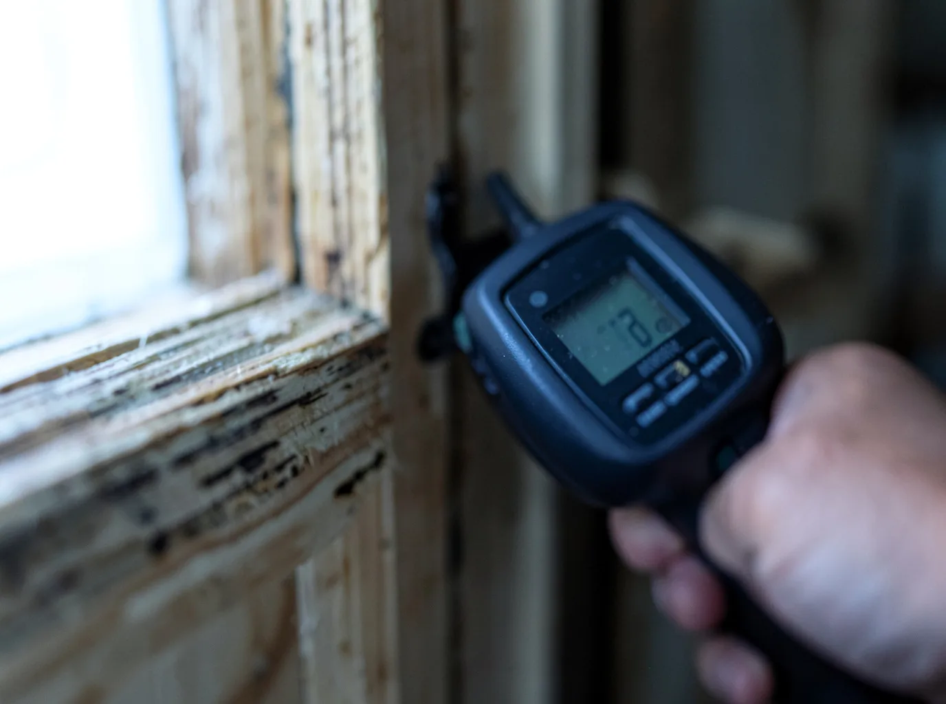 Moisture Inspection And Documentation in Russell, MA